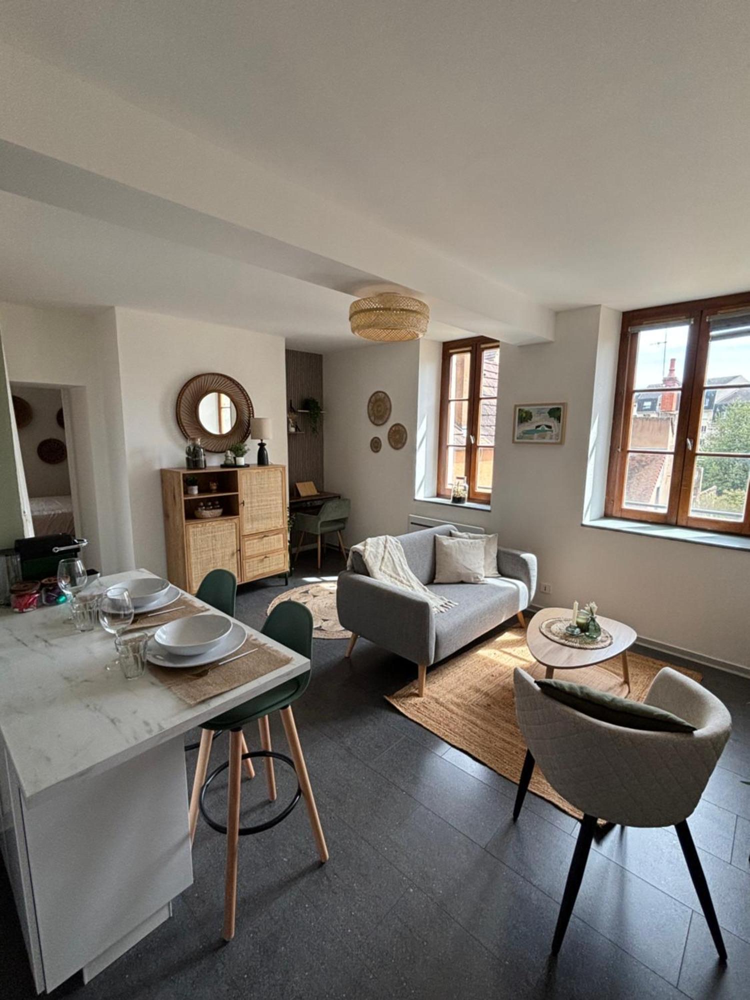 Appartement Cote Cour - Coeur Centre Historique Dijon
