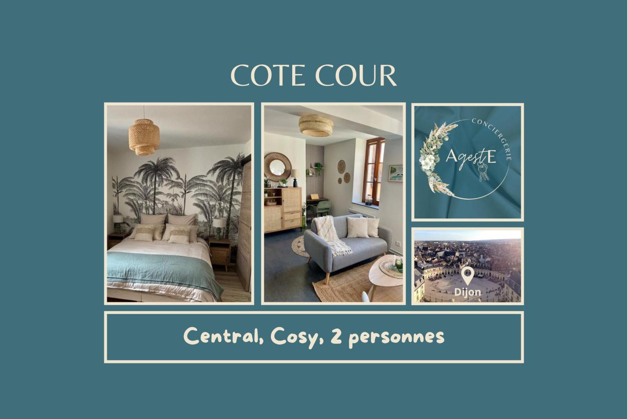 Cote Cour - Coeur Centre Historique * Dijon